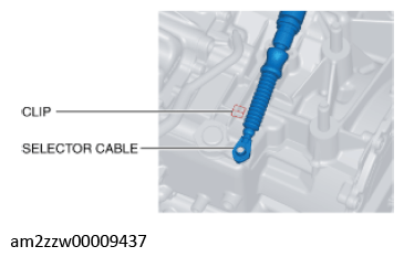G11637628