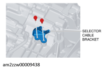G11637629