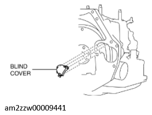 G11637632