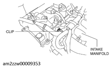 G11637637