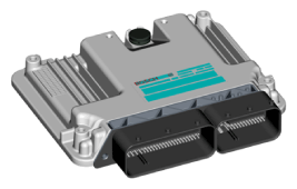 G11643866