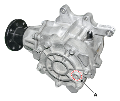 G11644042