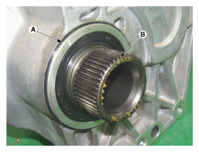 G11644052