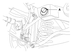 G11644391