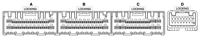 G11644431