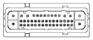 G11663617