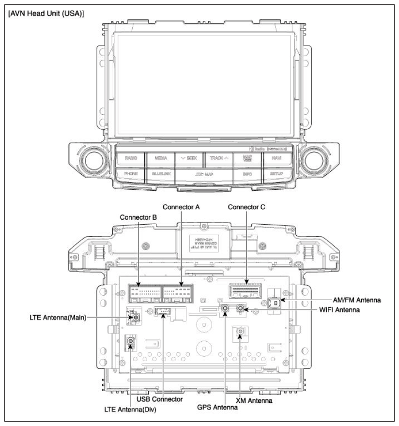 G11669734