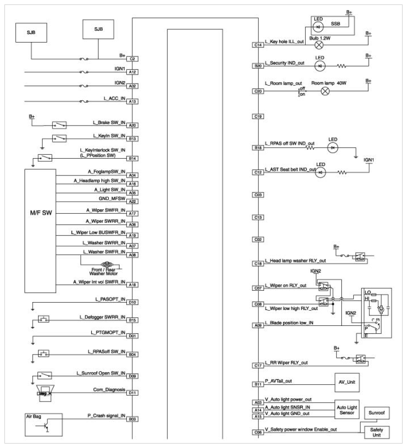 G11669848