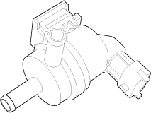 G11675719