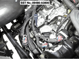 G11675944