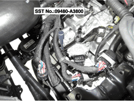 G11675947