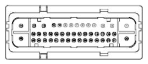 G11680146