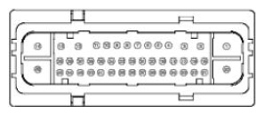 G11680151