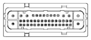 G11680183