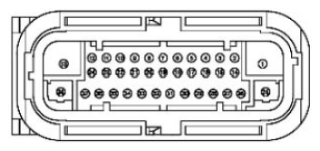G11680268
