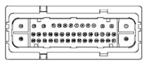 G11681591
