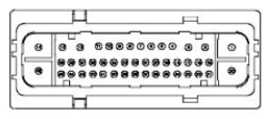 G11681606
