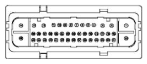 G11681617