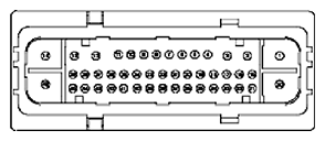 G11681644