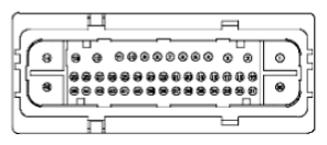G11681733
