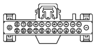 G11681734