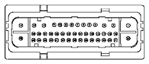G11681762