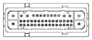G11681779