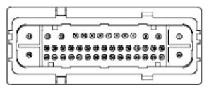 G11681801