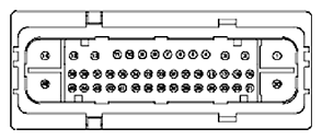 G11681825