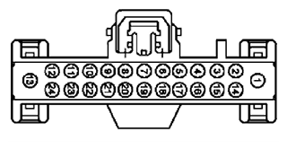 G11681826