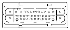 G11681833