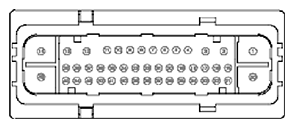 G11681875