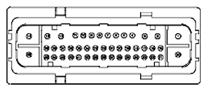 G11681950