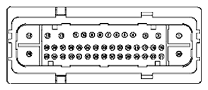 G11681959