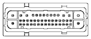 G11681966