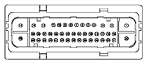 G11681970