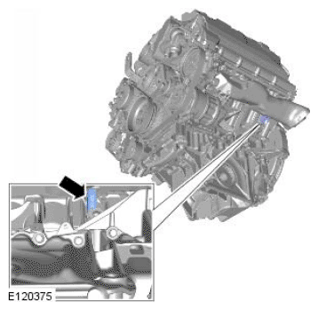 G11692287