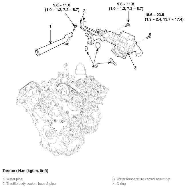 G11783688