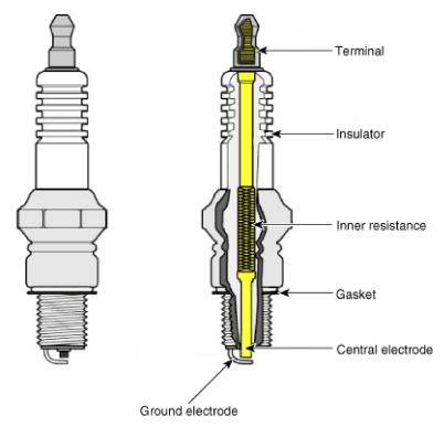 G11783794