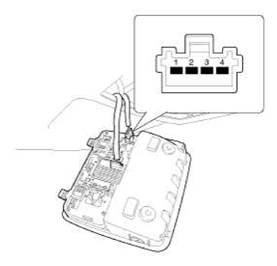 G11792497