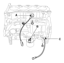 G11793272