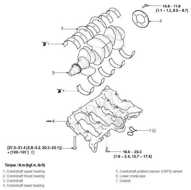 G11793291