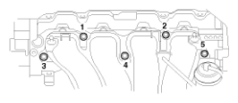 G11793381