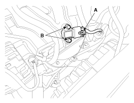 G11794856