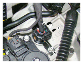 G11795307