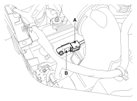 G11795636