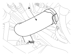 G11796681
