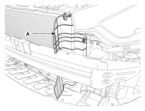 G11796684