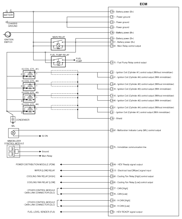 G11815721