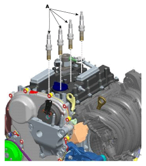 G11822724